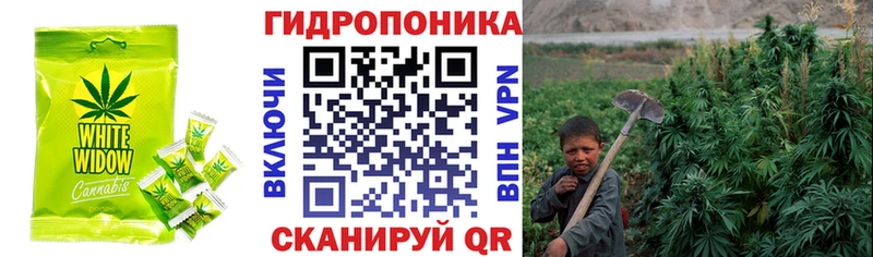 Cannafood марихуана  купить   Раменское 