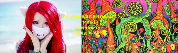 гидропоника Бронницы